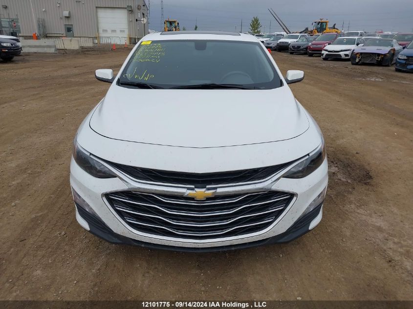 2019 Chevrolet Malibu Lt VIN: 1G1ZD5ST6KF223443 Lot: 12101775