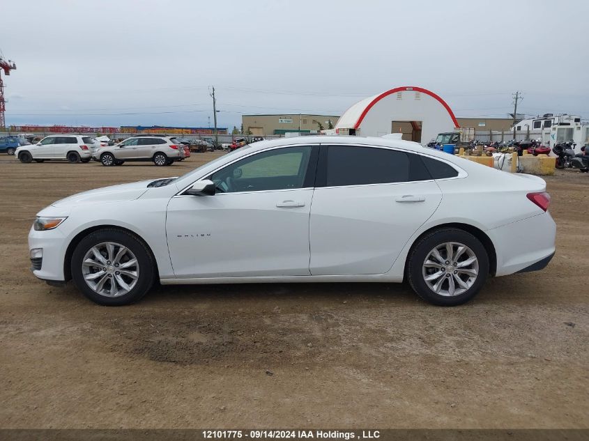 2019 Chevrolet Malibu Lt VIN: 1G1ZD5ST6KF223443 Lot: 12101775