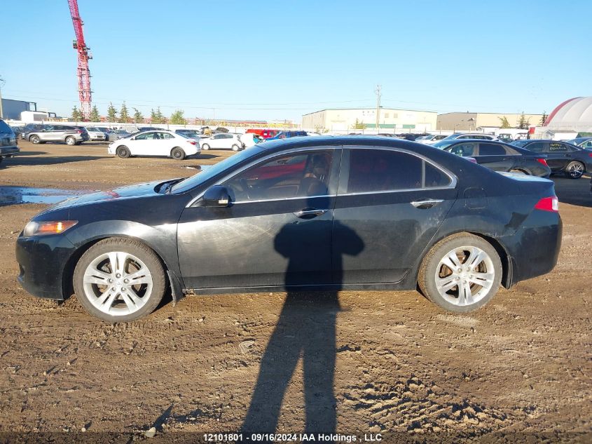 2010 Acura Tsx VIN: JH4CU4F41AC800212 Lot: 12101801