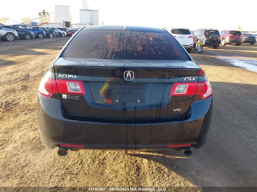 2010 Acura Tsx VIN: JH4CU4F41AC800212 Lot: 12101801