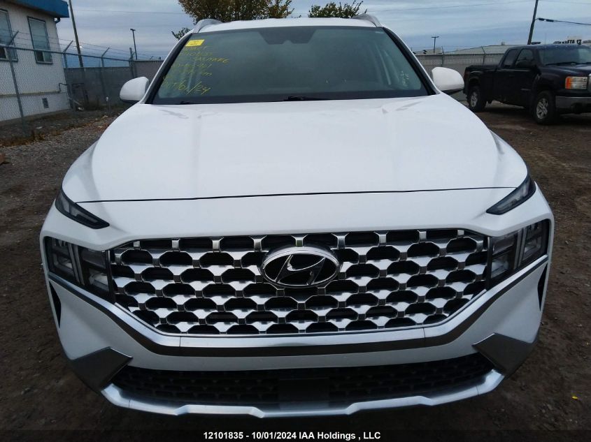 2023 Hyundai Santa Fe Sel Premium VIN: 5NMS3DAJ6PH488461 Lot: 12101835