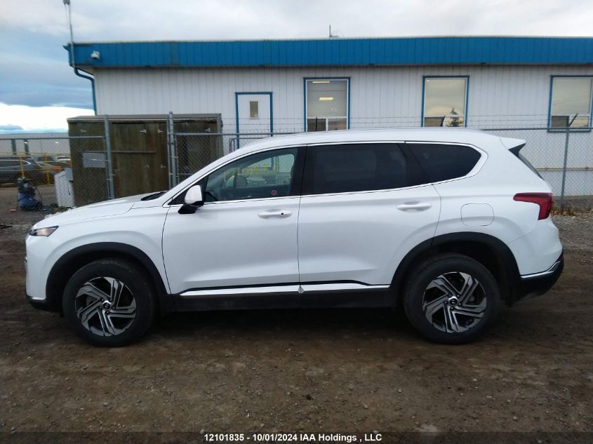 2023 Hyundai Santa Fe Sel Premium VIN: 5NMS3DAJ6PH488461 Lot: 12101835