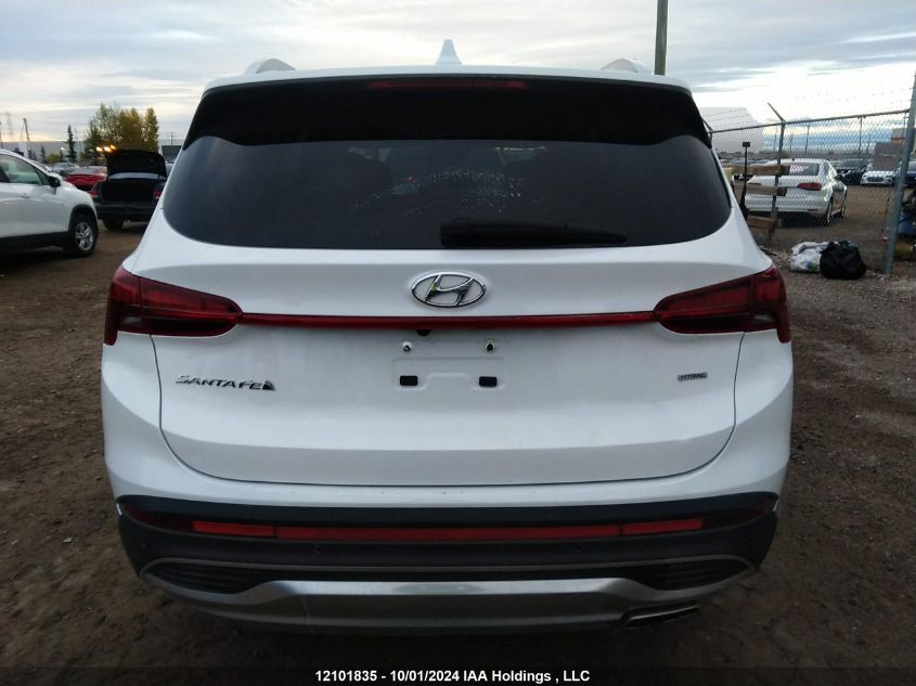 2023 Hyundai Santa Fe Sel Premium VIN: 5NMS3DAJ6PH488461 Lot: 12101835