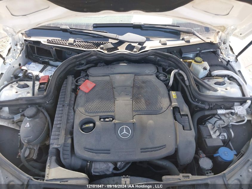 WDDGF8AB7DA881040 2013 Mercedes-Benz C-Class