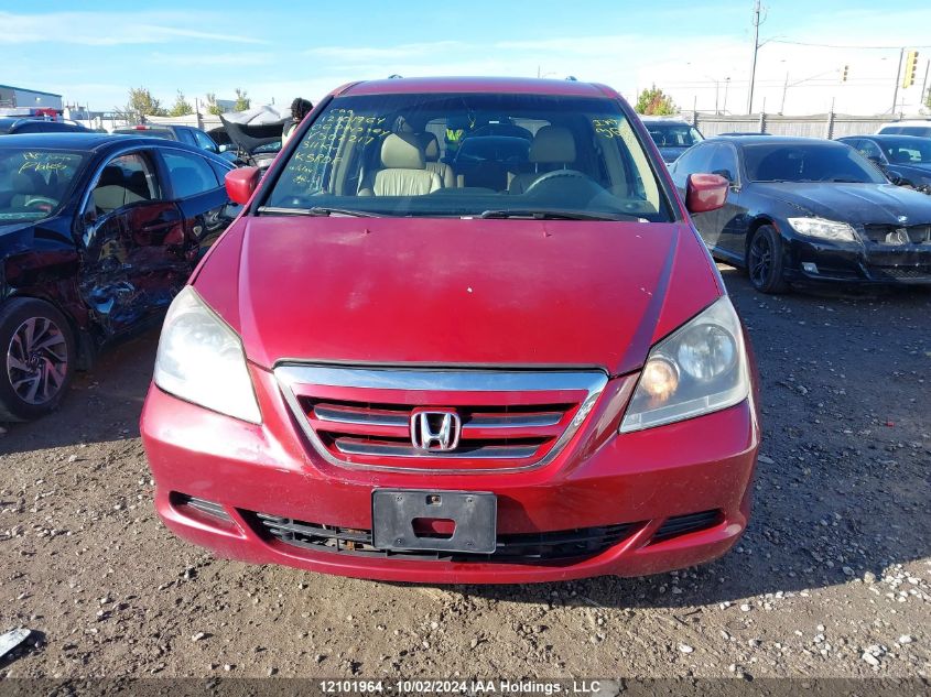 2006 Honda Odyssey VIN: 5FNRL38406B502217 Lot: 12101964