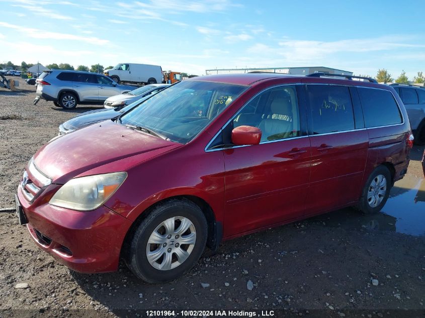 2006 Honda Odyssey VIN: 5FNRL38406B502217 Lot: 12101964