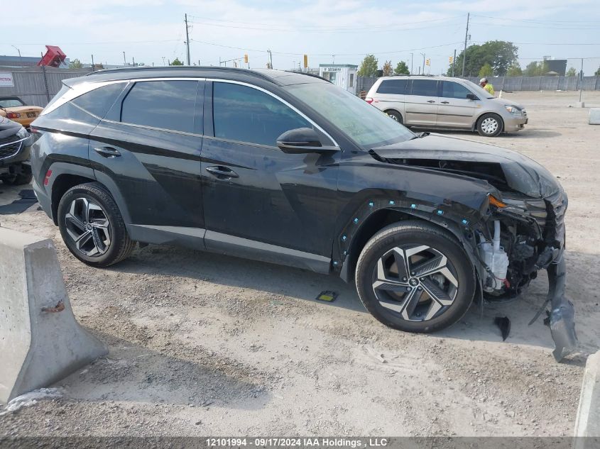 2023 Hyundai Tucson Ultimate Hybrid Awd VIN: KM8JCCA15PU086294 Lot: 12101994