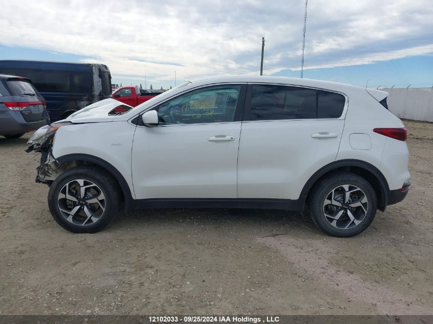 2020 Kia Sportage VIN: KNDPMCAC3L7690920 Lot: 12102033