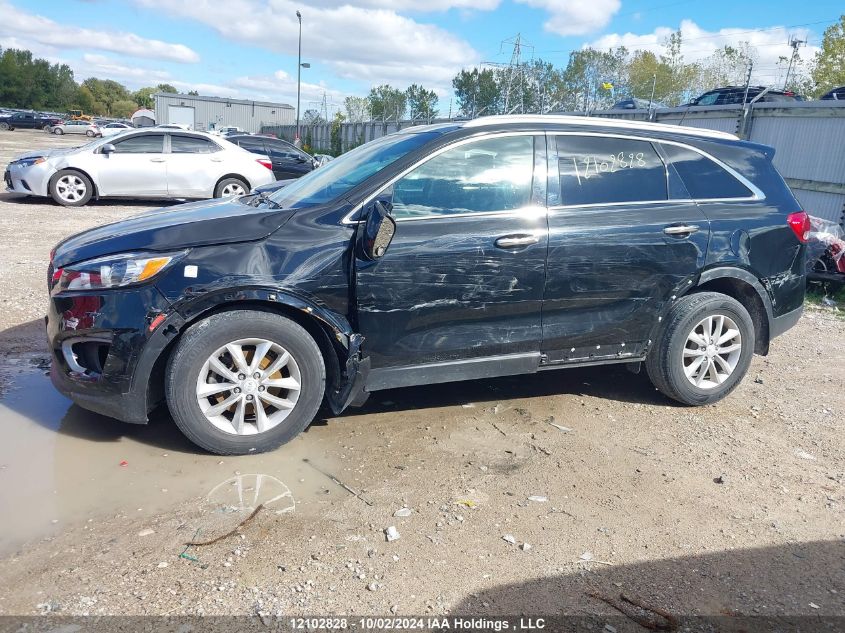 5XYPG4A33GG137979 2016 Kia Sorento