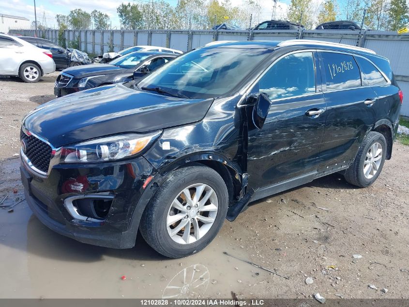 5XYPG4A33GG137979 2016 Kia Sorento