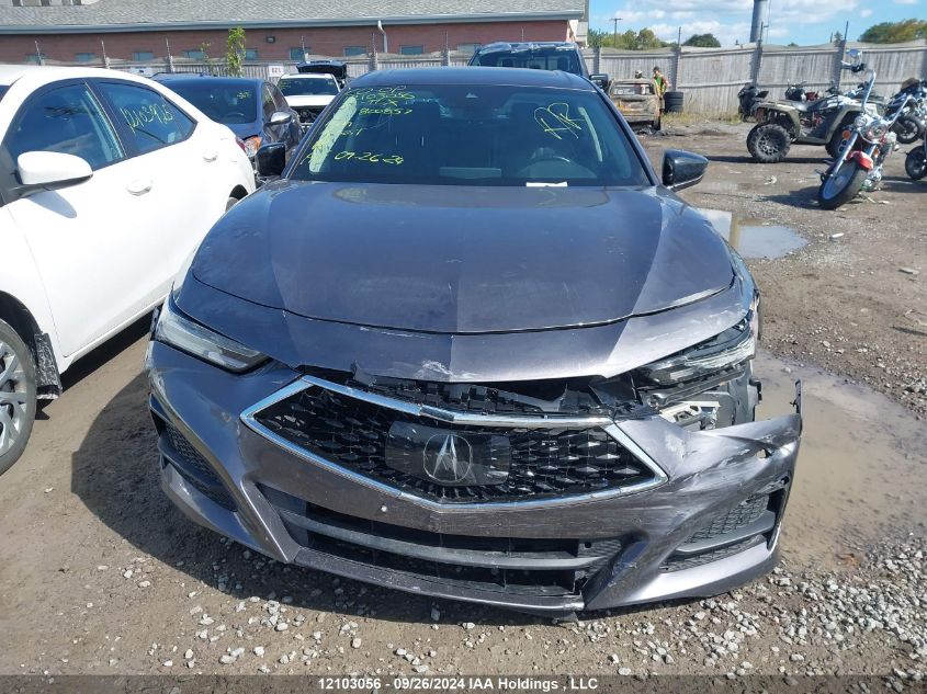 2021 Acura Tlx VIN: 19UUB6F33MA800857 Lot: 12103056