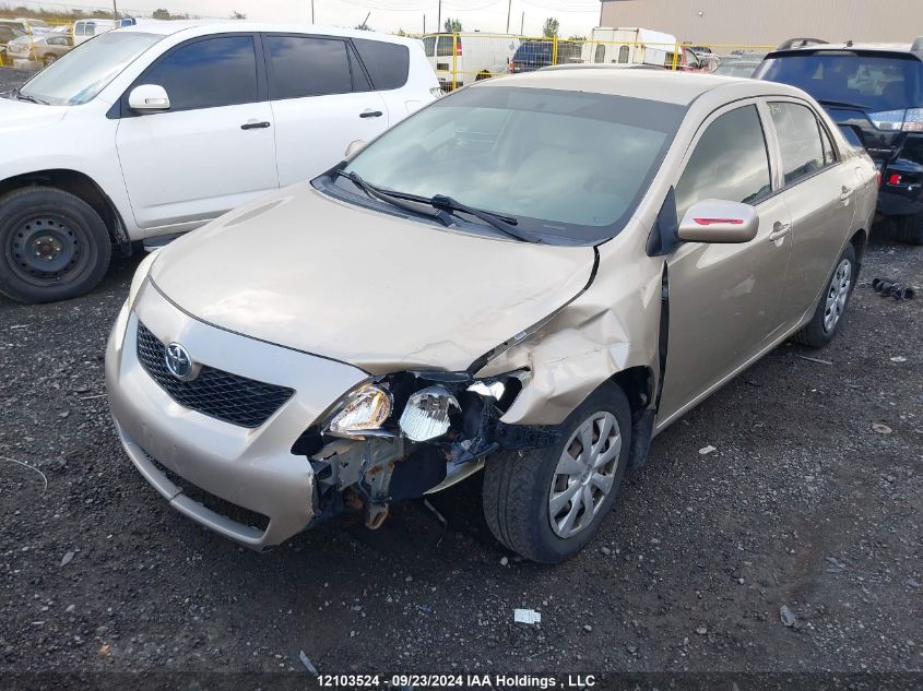 2009 Toyota Corolla VIN: 2T1BU40E99C103873 Lot: 12103524