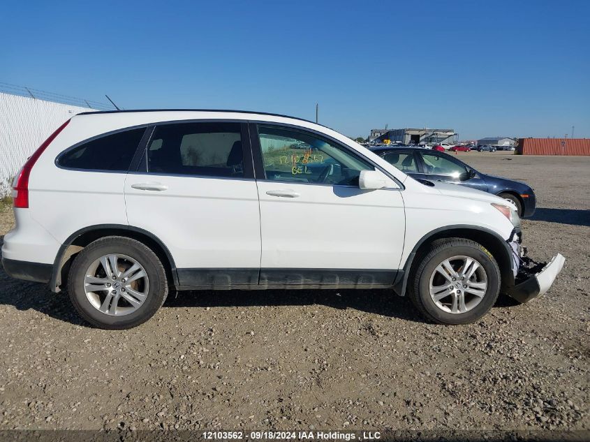 2010 Honda Cr-V VIN: 5J6RE3H55AL802385 Lot: 12103562