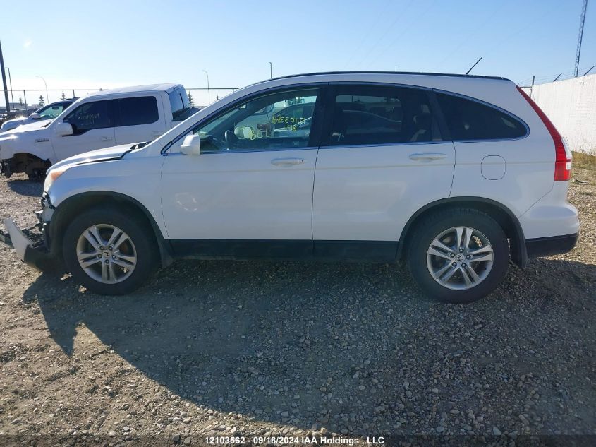 2010 Honda Cr-V VIN: 5J6RE3H55AL802385 Lot: 12103562