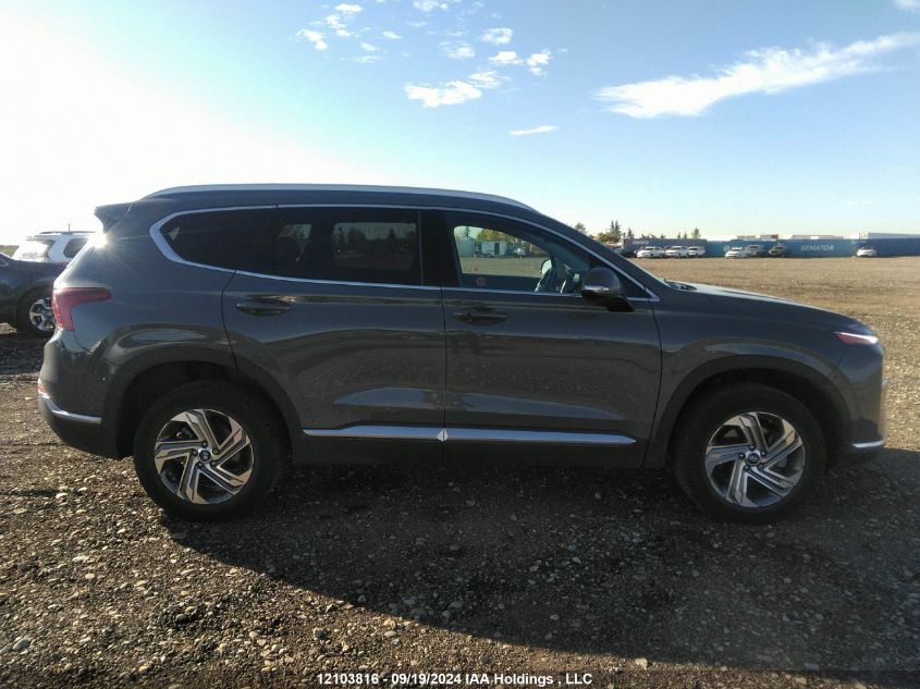 2021 Hyundai Santa Fe Sel VIN: 5NMS3DAJ0MH309942 Lot: 12103816