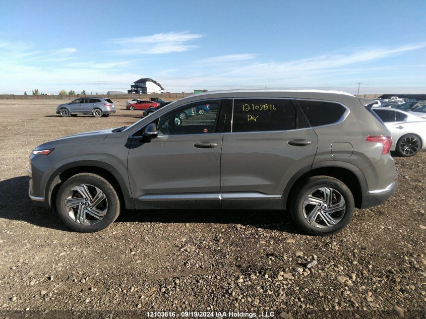 2021 Hyundai Santa Fe Sel VIN: 5NMS3DAJ0MH309942 Lot: 12103816