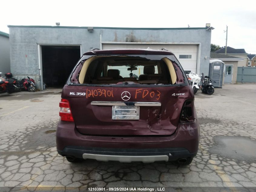 4JGBB86E77A168710 2007 Mercedes-Benz Ml-Class