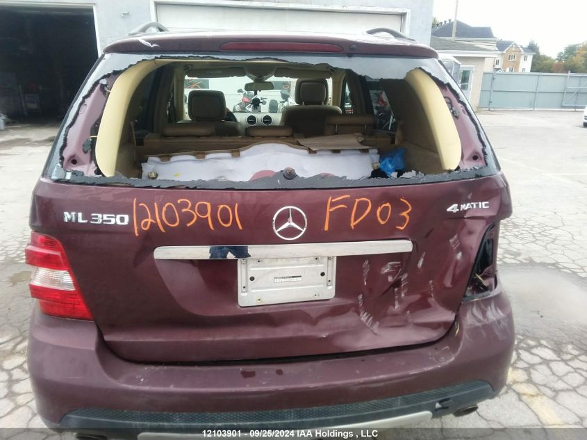 4JGBB86E77A168710 2007 Mercedes-Benz Ml-Class