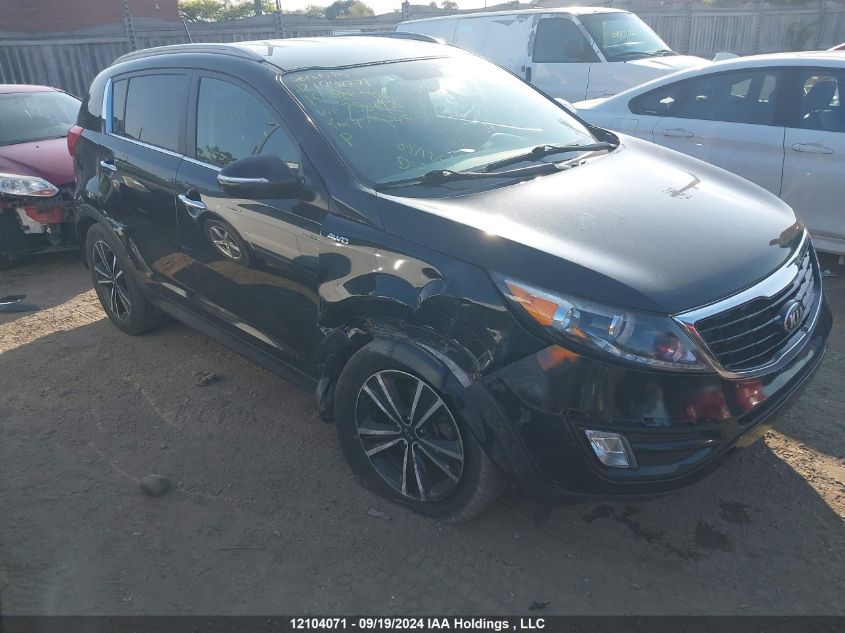 2015 Kia Sportage VIN: KNDPCCA64F7793412 Lot: 12104071