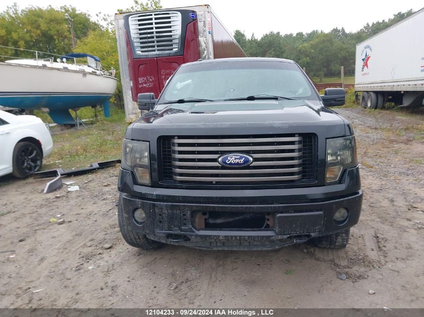 2012 Ford F-150 Fx4 VIN: 1FTFW1EF1CFB17213 Lot: 12104233