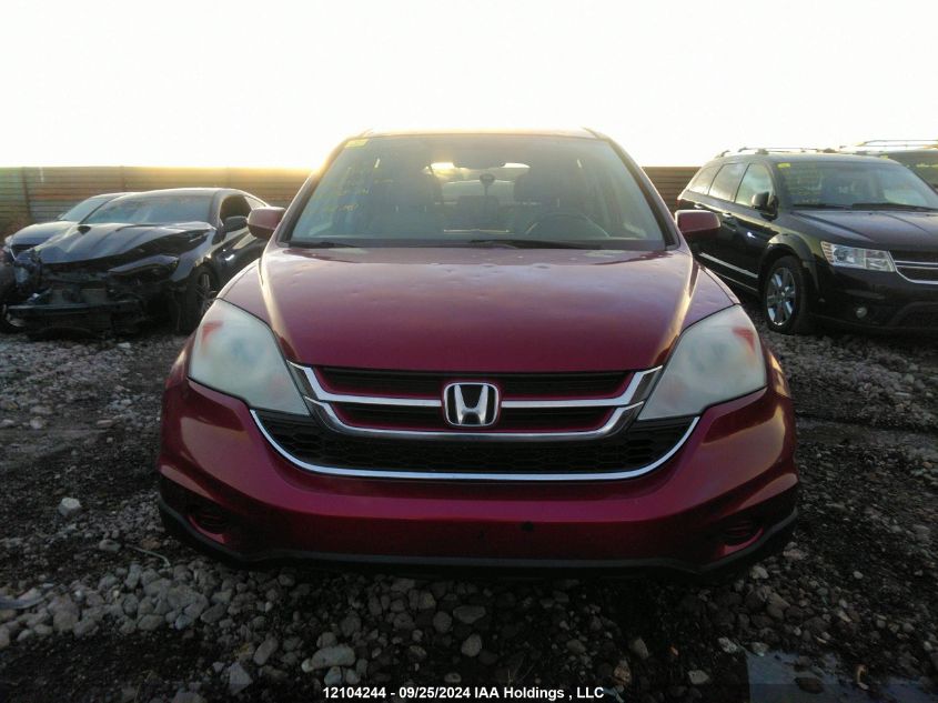 2010 Honda Cr-V VIN: 5J6RE4H74AL814180 Lot: 12104244