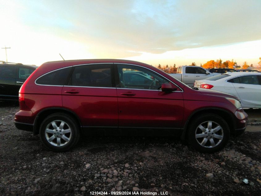 2010 Honda Cr-V VIN: 5J6RE4H74AL814180 Lot: 12104244