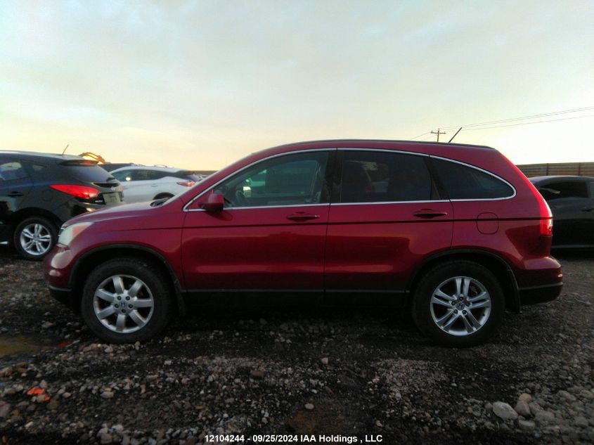 2010 Honda Cr-V VIN: 5J6RE4H74AL814180 Lot: 12104244