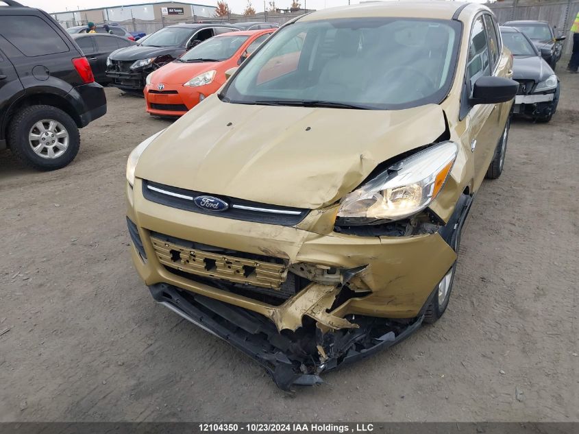 2014 Ford Escape VIN: 1FMCU0G96EUE02140 Lot: 12104350