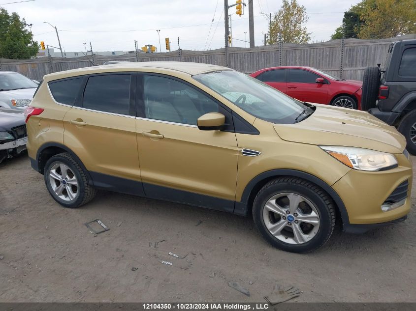 2014 Ford Escape VIN: 1FMCU0G96EUE02140 Lot: 12104350