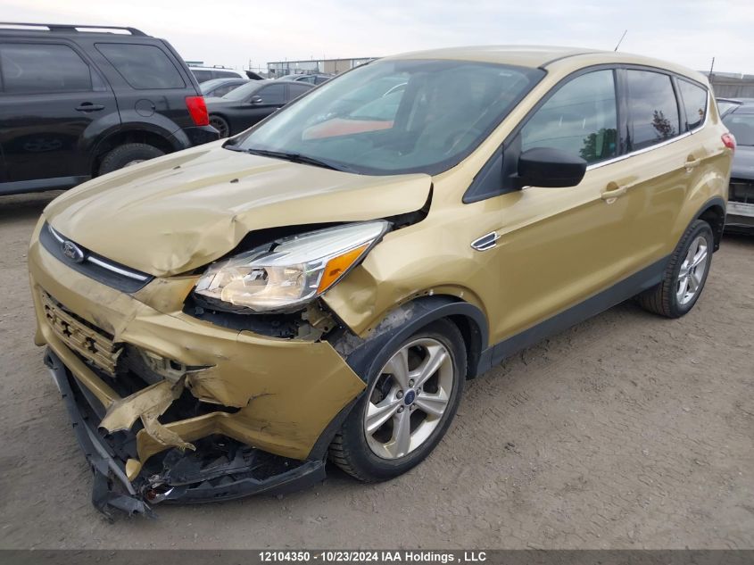 2014 Ford Escape VIN: 1FMCU0G96EUE02140 Lot: 12104350