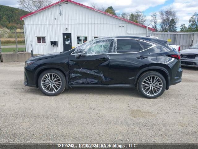 2025 Lexus Nx 350 Premium VIN: 2T2GGCEZ2SC060949 Lot: 12105248