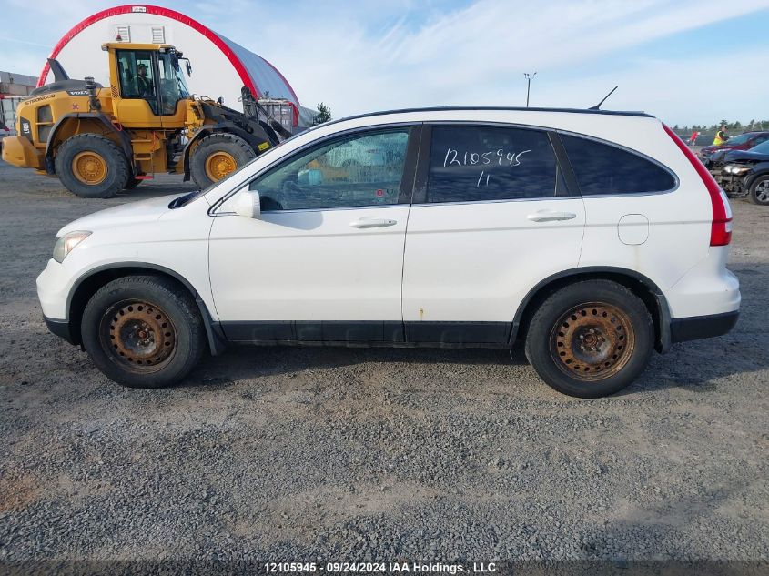 2011 Honda Cr-V VIN: 5J6RE4H50BL800311 Lot: 12105945