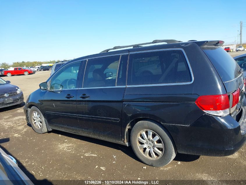 2009 Honda Odyssey VIN: 5FNRL38659B505328 Lot: 12106226