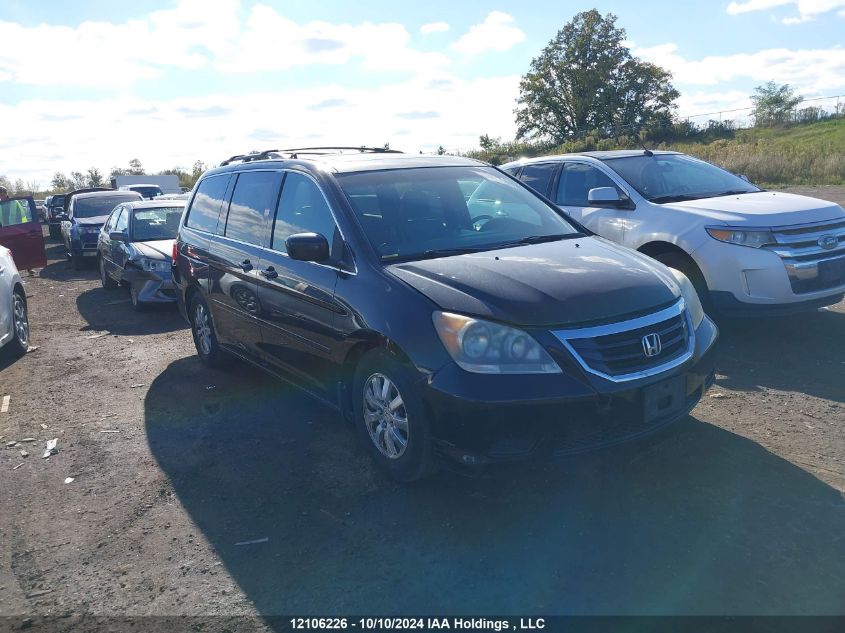 2009 Honda Odyssey VIN: 5FNRL38659B505328 Lot: 12106226