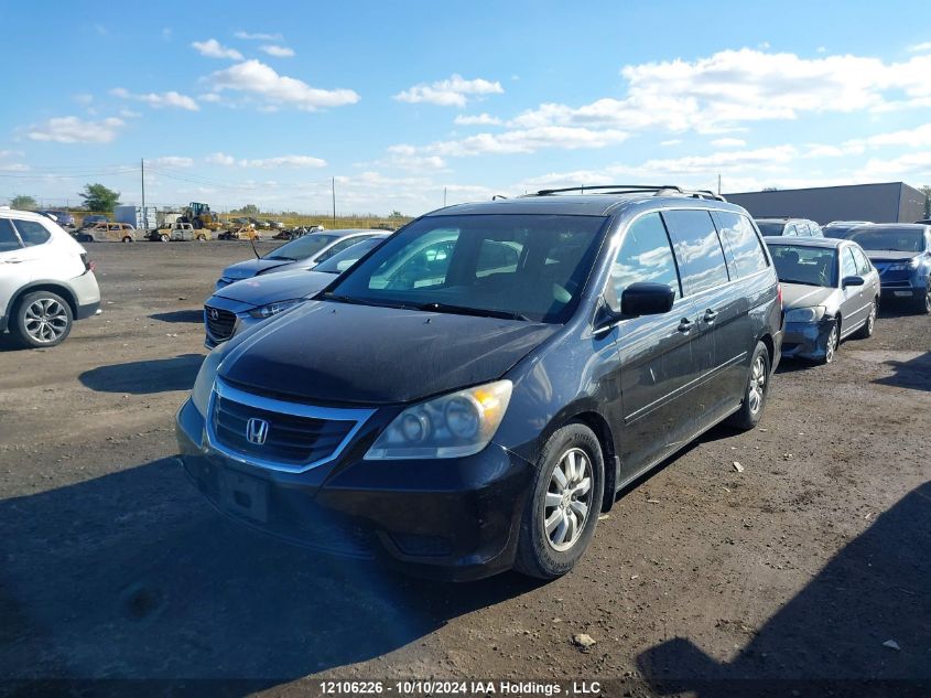 2009 Honda Odyssey VIN: 5FNRL38659B505328 Lot: 12106226