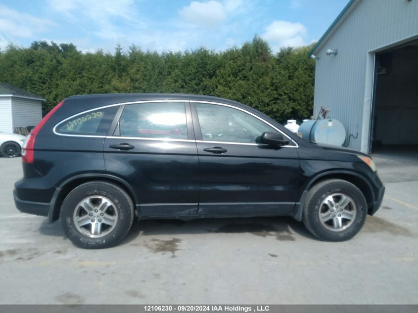 2007 Honda Cr-V VIN: 5J6RE38317L800799 Lot: 12106230