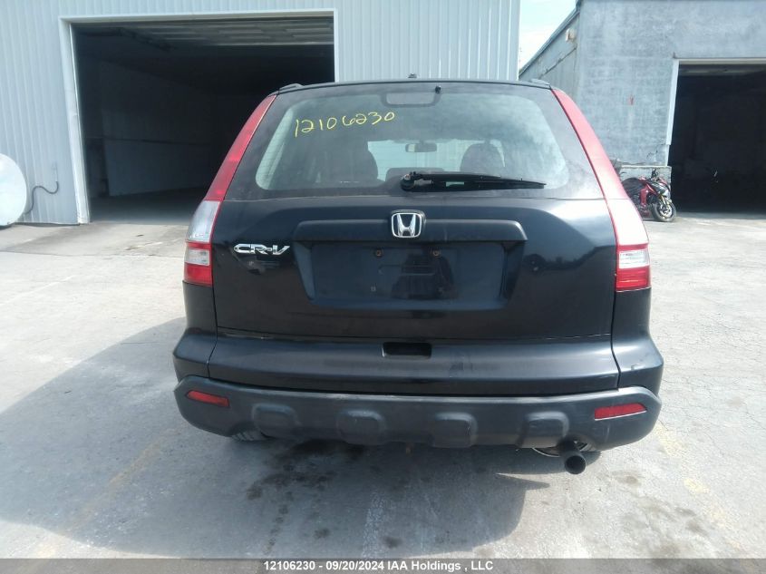 2007 Honda Cr-V VIN: 5J6RE38317L800799 Lot: 12106230