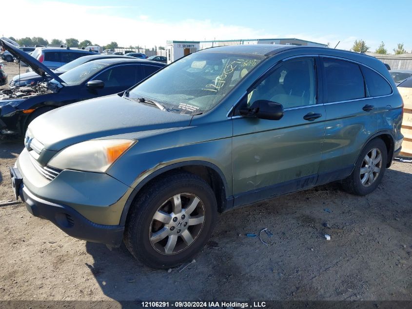 2007 Honda Cr-V Ex VIN: JHLRE48597C028441 Lot: 12106291