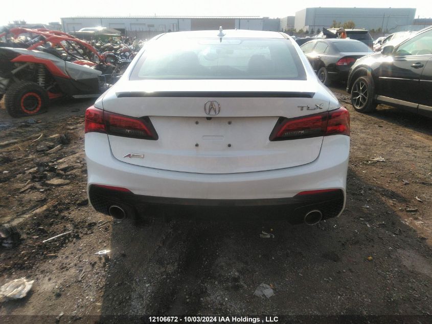 2020 Acura Tlx VIN: 19UUB1F6XLA800267 Lot: 12106672