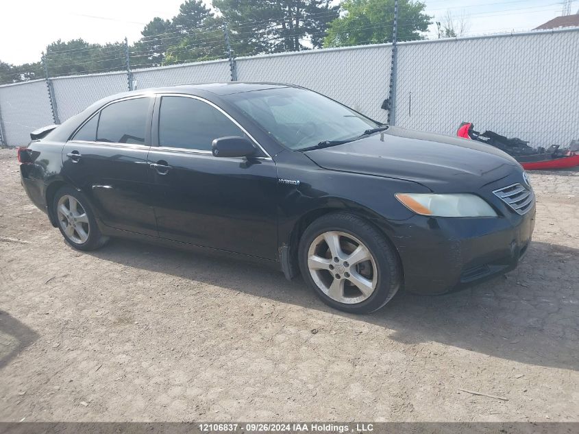 2009 Toyota Camry Hybrid VIN: 4T1BB46KX9U099317 Lot: 12106837