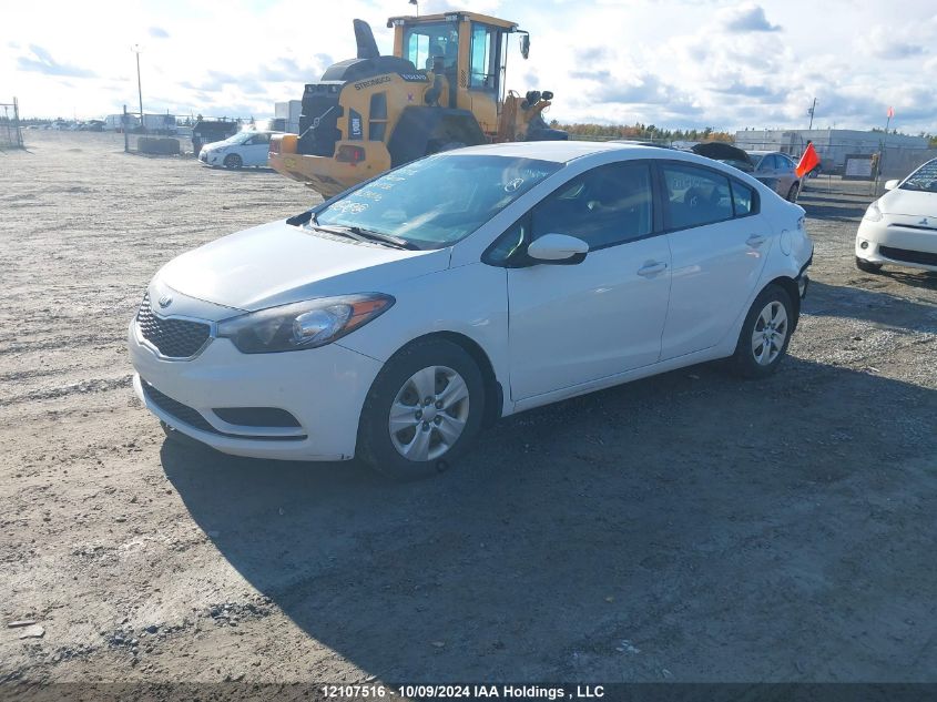 2015 Kia Forte VIN: KNAFK4A65F5268436 Lot: 12107516