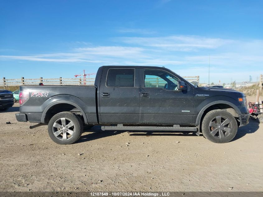 2013 Ford F-150 Fx4 VIN: 1FTFW1ET0DKF39553 Lot: 12107549