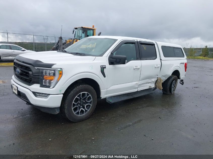 2022 Ford F-150 Xlt VIN: 1FTFW1E83NFA53681 Lot: 12107991