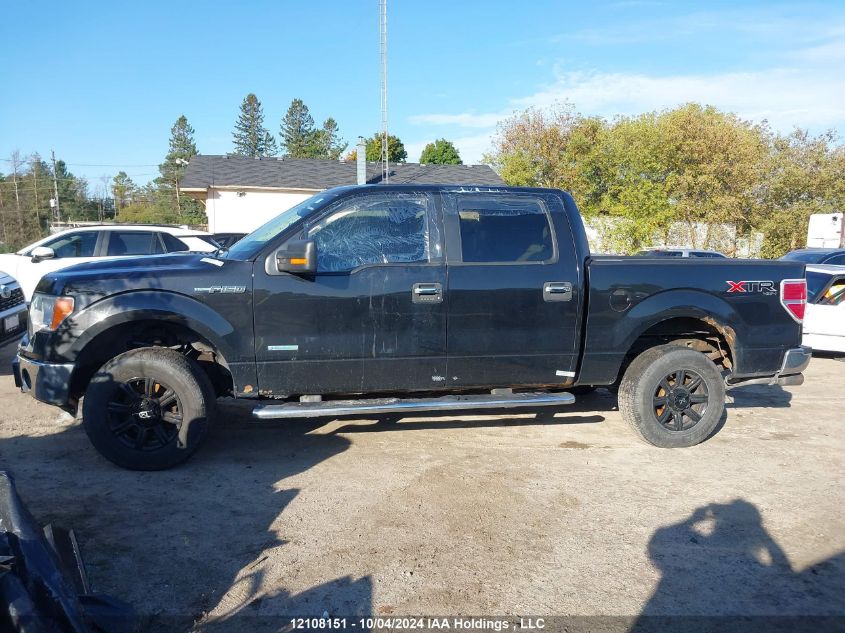 2013 Ford F-150 Xlt VIN: 1FTFW1ETXDFA75812 Lot: 12108151