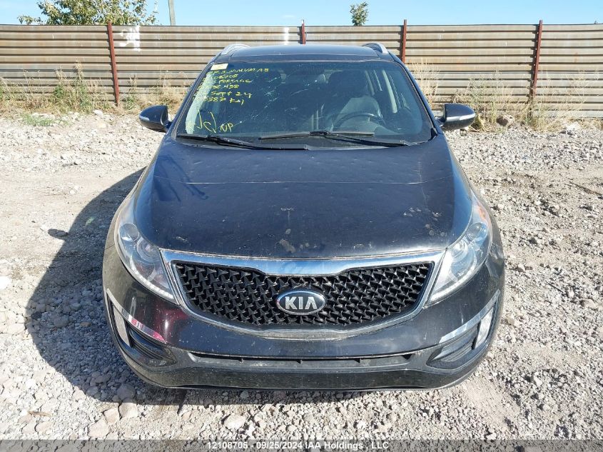 2016 Kia Sportage VIN: KNDPCCAC0G7832438 Lot: 12108705