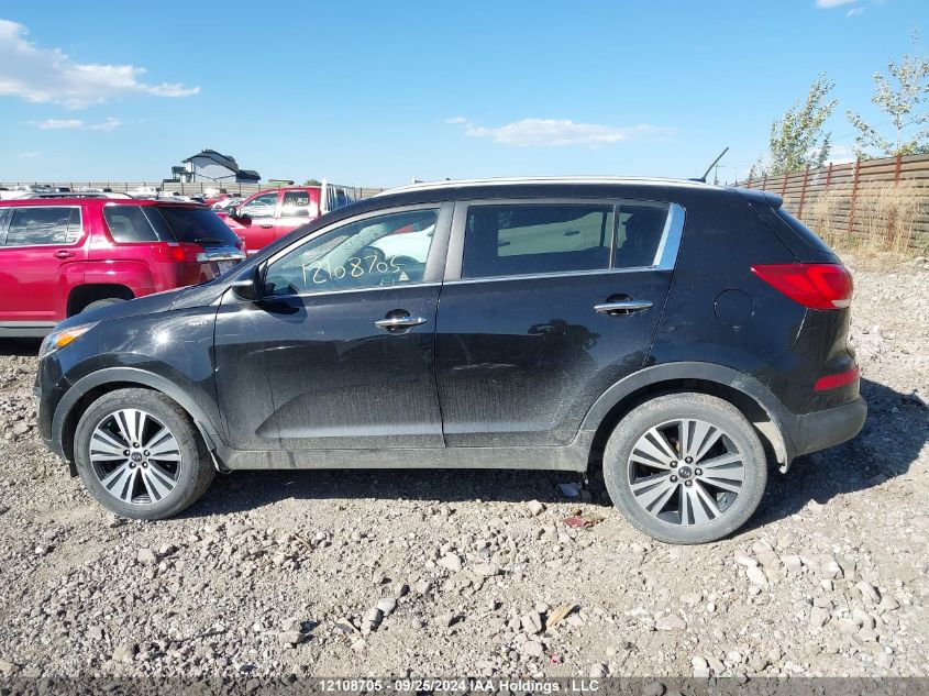 2016 Kia Sportage VIN: KNDPCCAC0G7832438 Lot: 12108705