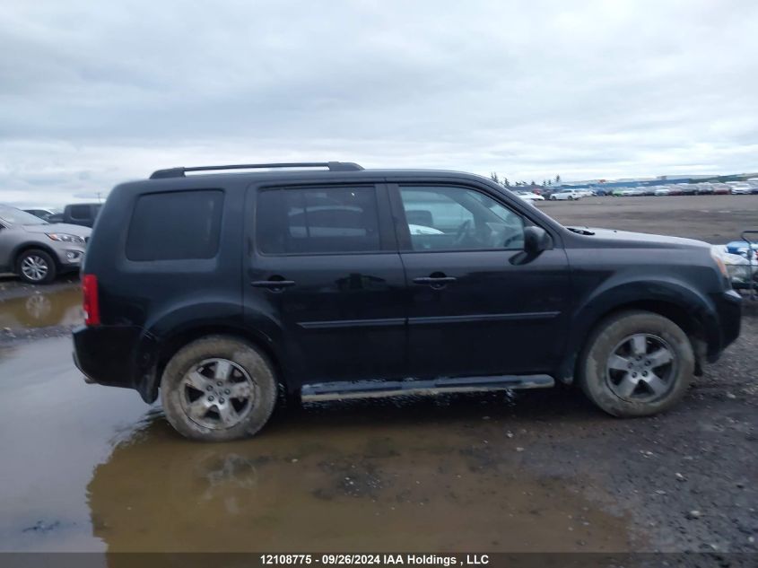 2011 Honda Pilot VIN: 5FNYF4H66BB503649 Lot: 12108775