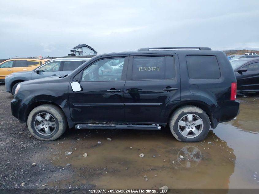 2011 Honda Pilot VIN: 5FNYF4H66BB503649 Lot: 12108775