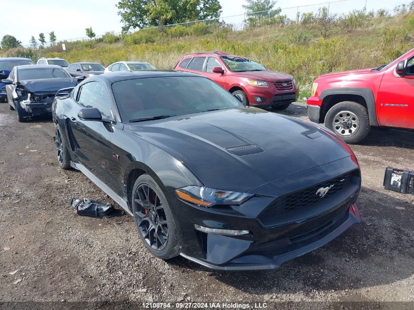 2019 Ford Mustang VIN: 1FA6P8TH6K5102758 Lot: 12108784