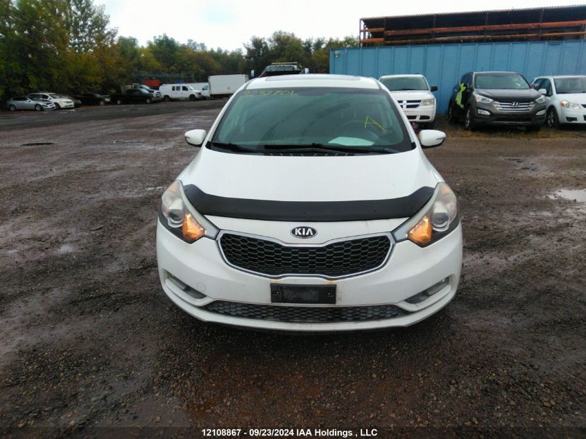 2014 Kia Forte Lx VIN: KNAFK5A86E5215427 Lot: 12108867